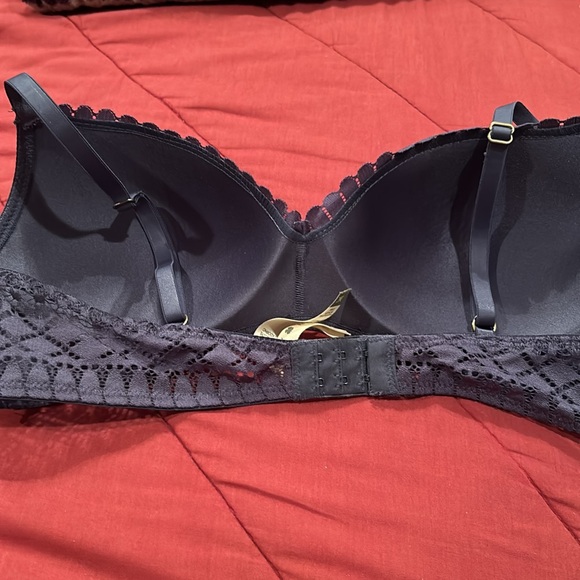 Lucky Brand sz 36C Steel Gray/Blue Lace,  Padded Cup Bra (No Underwire) - Picture 3 of 6